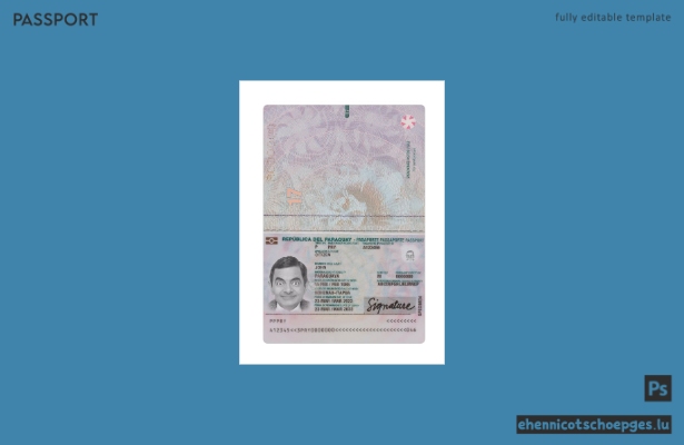 Paraguay-Pass 2023-heute – Beispielvorschau